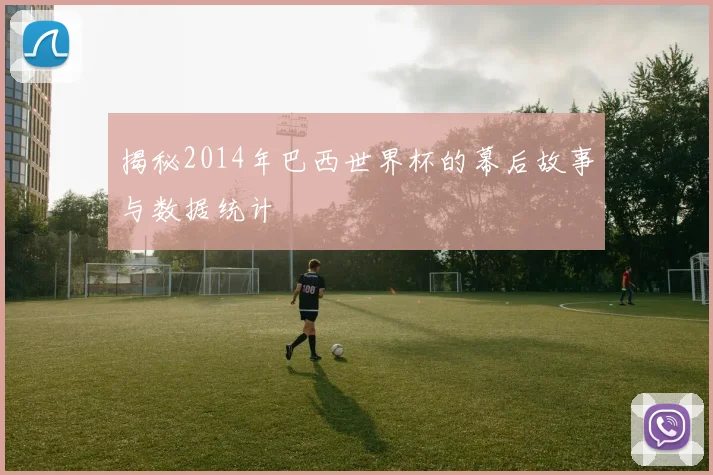 揭秘2014年巴西世界杯的幕后故事与数据统计